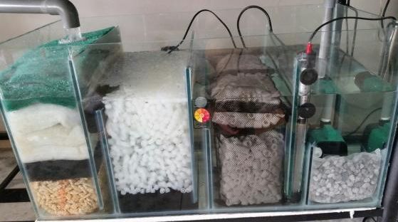 Sump Filter